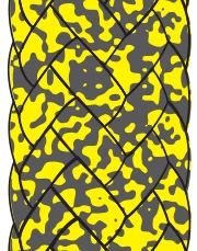 Evolution Breeze