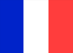 France Courtesy Flag