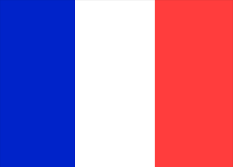 France Courtesy Flag