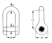 Stainless Steel Dee Shackles with Allen Key Pin