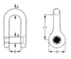 Image of Stainless Steel Dee Shackles with Allen Key Pin