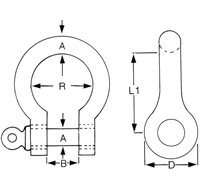 Stainless Steel Bow Shackles