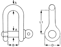 Stainless Steel Dee Shackles