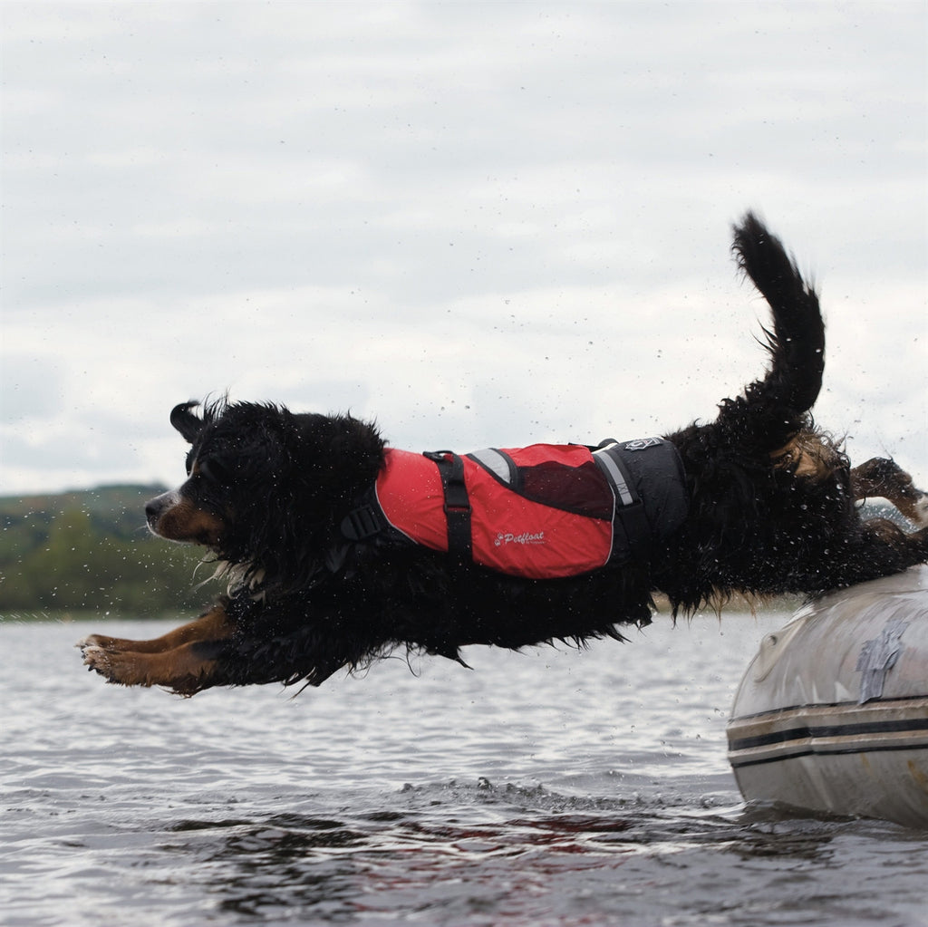 Cat in deals a life jacket